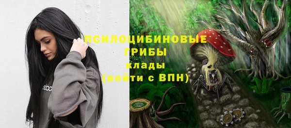 spice Баксан