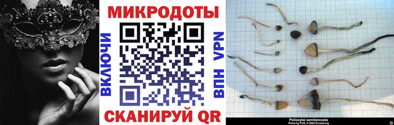 Псилоцибиновые грибы GOLDEN TEACHER  наркота  Боровск 